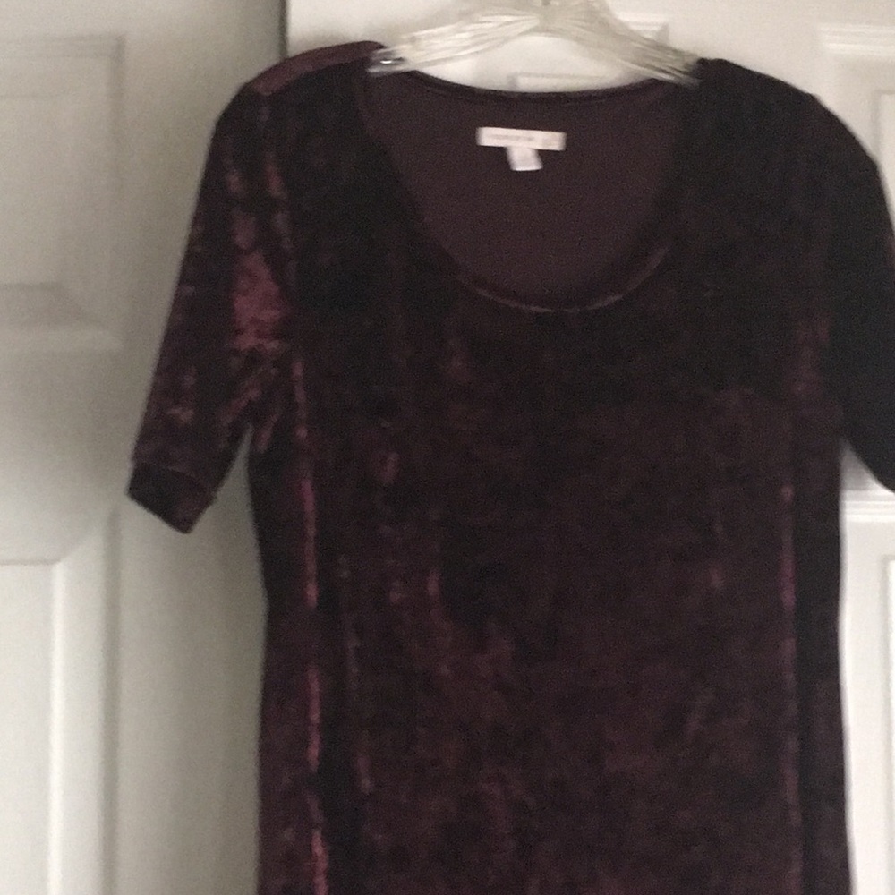 Crushed velvet short sleeve dress